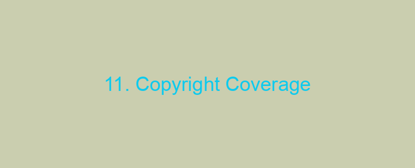 11. Copyright Coverage/Cancellation out of User Privileges for Infringement and contact Guidance having Guessed Copyright laws Infringement/DMCA Sees